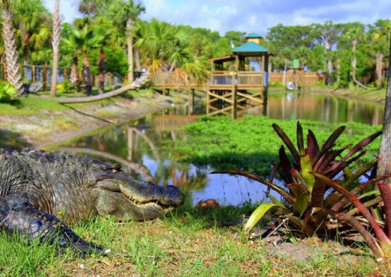 Orlando: Wild Florida Airboat Ride with Transport & Lunch - What the Reviews Tell Us