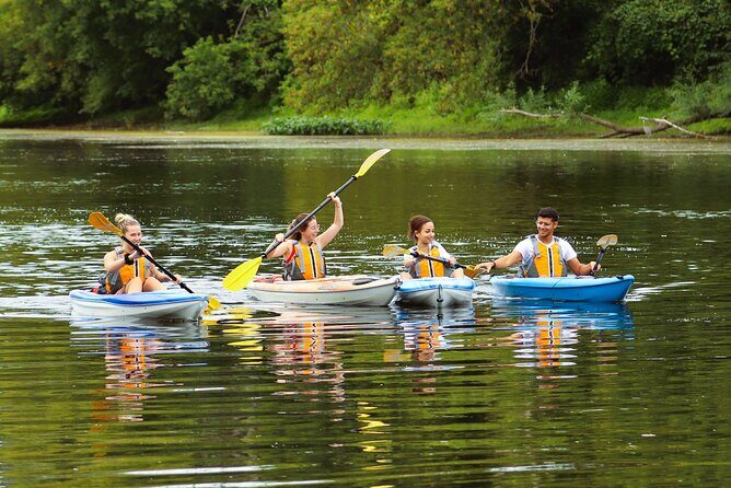 Ottawa Ecological Reserve Kayak Tour with TURTLE Sightings - Final Thoughts: Who Should Consider This Tour?