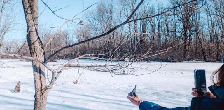 Ottawa: Guided Nature Walk & Wildlife Tour with Hotel Pickup - Key Points for Travelers