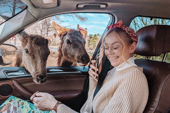 Ottawa Parc Omega Private Tour with Hotel Transfer - Value and Practical Considerations