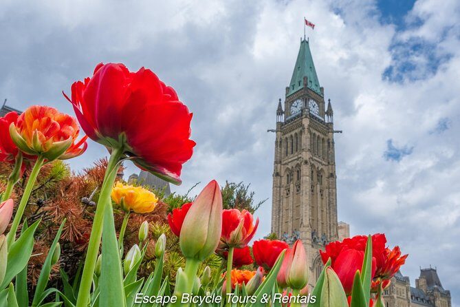 Ottawa Spring Tulip Festival Bike Tour - A Closer Look at the Tour Itinerary