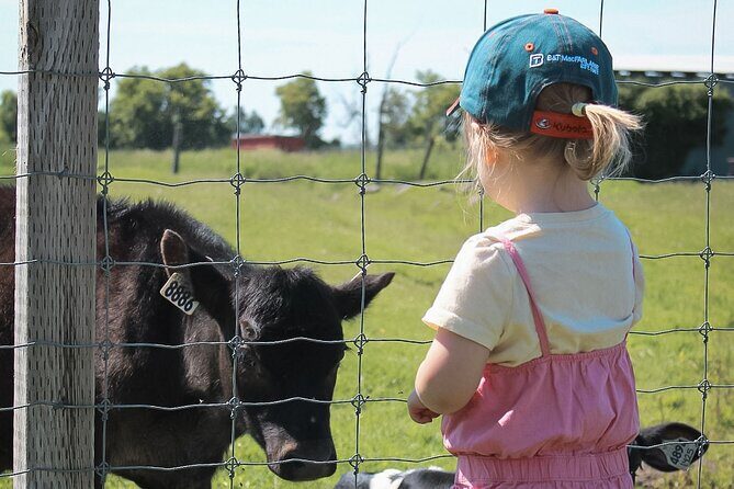 Ottawa Valleyview Little Animal Farm Tour - What to Expect During Your Visit