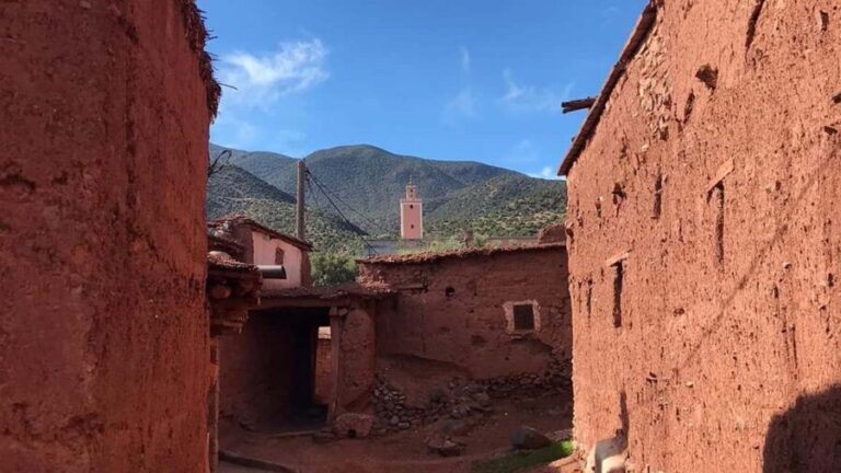 Ouirgan Berber villages & Salt mine Day trip from Marrakech - Why This Tour Offers Good Value