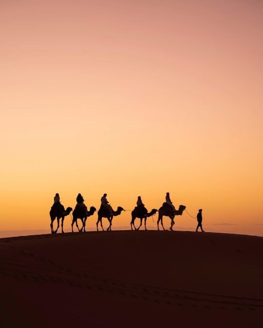 Ourika Valley: Hike, Waterfalls, Berber Villages - Exploring the Berber Market (Mondays Only)