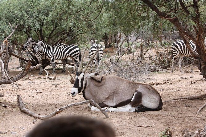 Out of Africa Wildlife Park Admission Ticket - FAQs About Out of Africa Wildlife Park