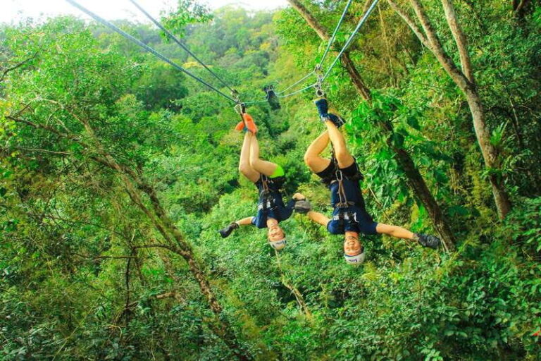 Outdoor Zipline Adventure - Pricing and Value