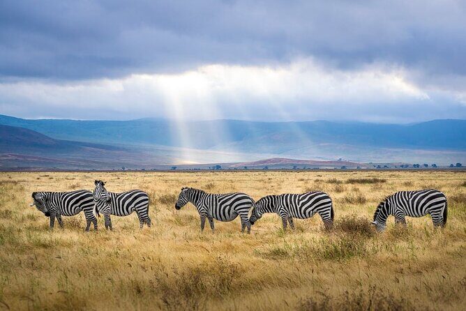 Outstanding day trip to Tarangire National Park - What Travelers Say