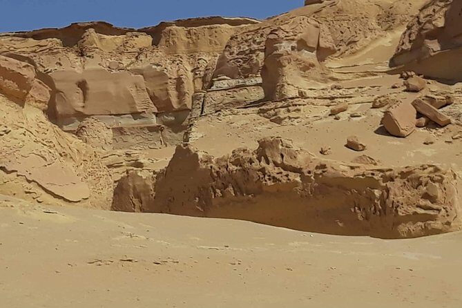 over day safari trip to whales valley fayoum oasis - What Travelers Say About This Tour