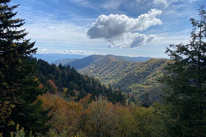 Over the Top Tour in Oconaluftee - Historic & Cultural Stops