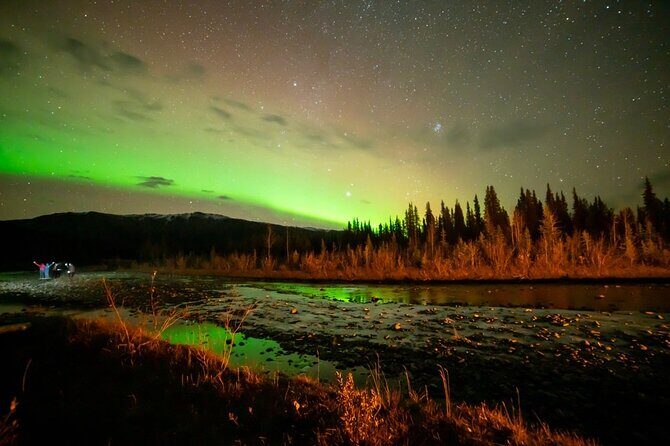 Overnight Denali National Park plus Aurora Chase Tour - Detailed Considerations for Potential Travelers