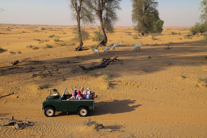 Overnight Desert Safari - Vintage Land Rovers & Traditional Activities - Who Should Consider This Tour?