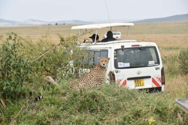 Overnight Group Joining Safari to Amboseli from Nairobi - Who This Tour Is Best For