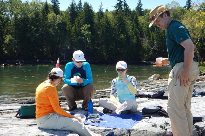 Oyster Farm & Complimentary Tasting Sea Kayak Tour in Casco Bay - Who Should Consider This Tour?