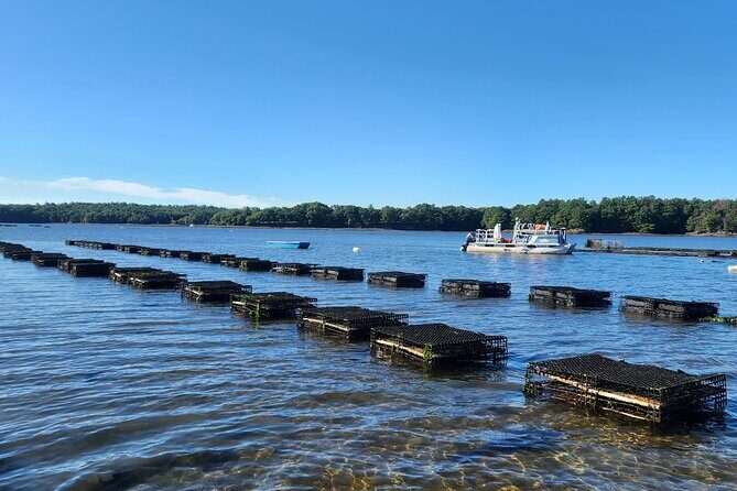 Oyster Tasting and Kayak Tour - Who Should Consider This Tour?