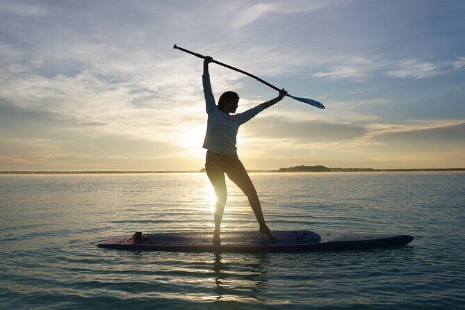 Paddle at Dawn with visit to Cenotes and Islands - Practical Details and What to Expect