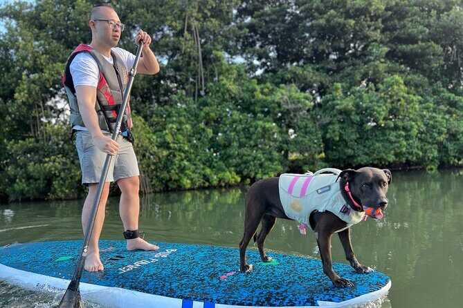 Paddle Board Hale'iwa with Rescue Dogs - Post-Paddle Relaxation and Photos