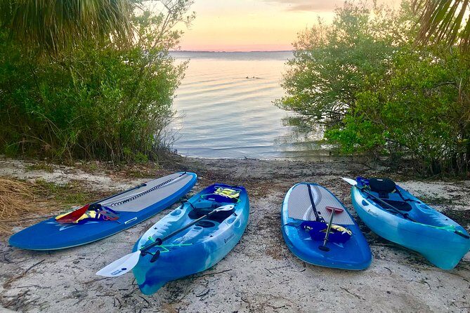 Paddle Board or Kayak Eco Dolphin Manatee Tour - The Sum Up