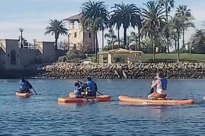Paddle Board Picnics Lessons Rentals and Outdoor Adventures - A Well-Balanced, Authentic Outdoor Experience