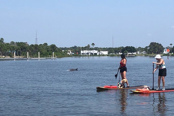 Paddle Board Rental - A Deep Dive into the Experience