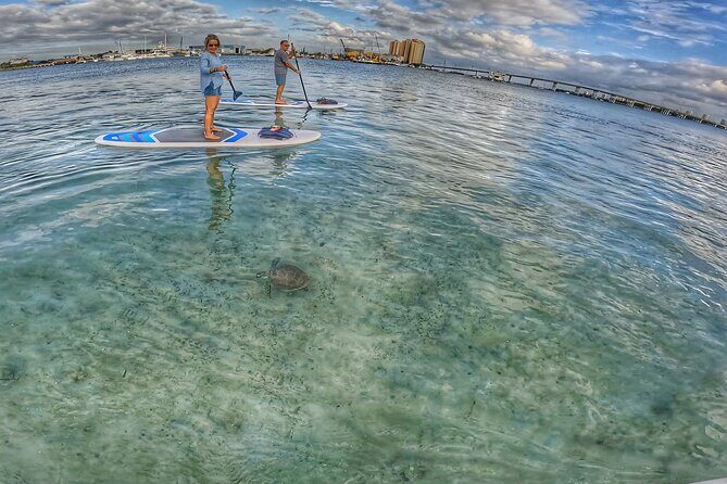 Paddle Boarding Activity to Peanut Island - Frequently Asked Questions