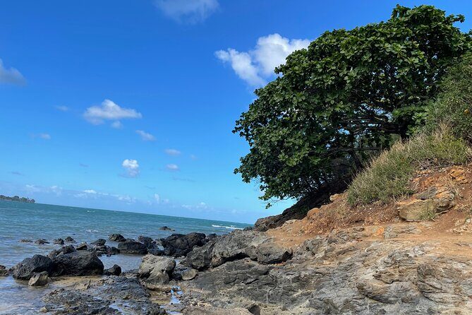 Paddle boarding and hiking adventure at Mokoli'i Island. - The Experience in Context