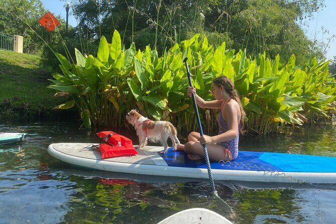 Paddle with Pups in Paradise - Paddleboard or Kayak - Price and Value