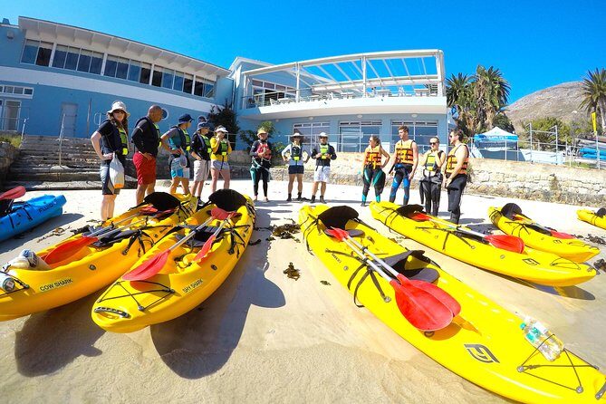 Paddle with the Penguins - Who Should Consider This Experience?