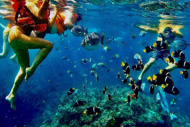 Paddleboard and Snorkeling Experience in Los Arcos - The Real Value: Is It Worth It?