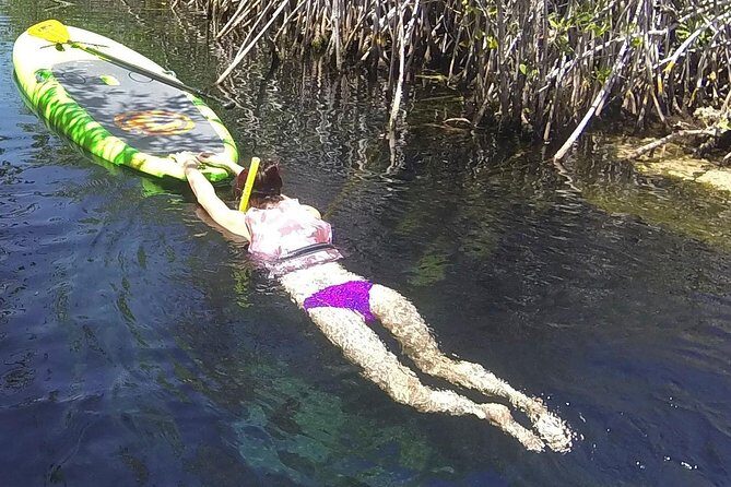 Paddleboard Cenote Tour - The Experience’s Practical Aspects