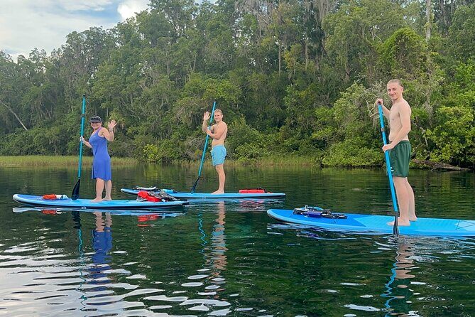 Paddleboard Rental Three Sisters Springs & Manatee Refuge - The Details That Make This Tour Stand Out