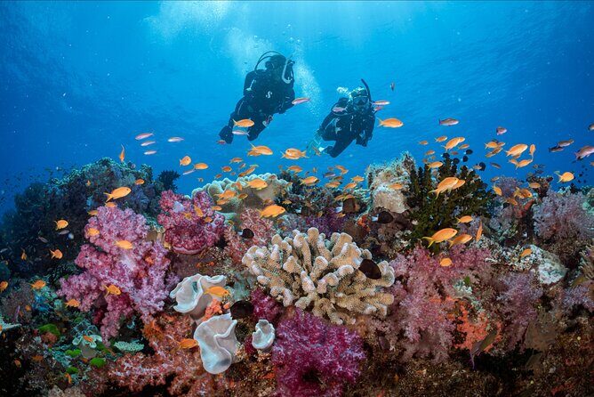 PADI Discover Scuba Diving - Deep Dive into Logistics and Value