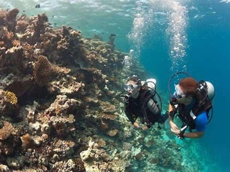 PADI Discover Scuba Diving: at Hol Chan Marine Reserve - What to Expect: The Itinerary in Detail