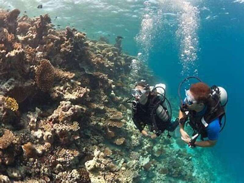 PADI Discover Scuba Diving: at Hol Chan Marine Reserve - What to Expect: The Itinerary in Detail