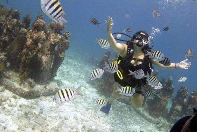 PADI Discover Scuba Diving for divers without certification - What to Expect: Step-by-Step