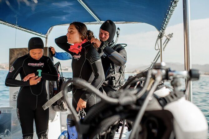 PADI Open Water Course in Cabo San Lucas - The Value of the Experience