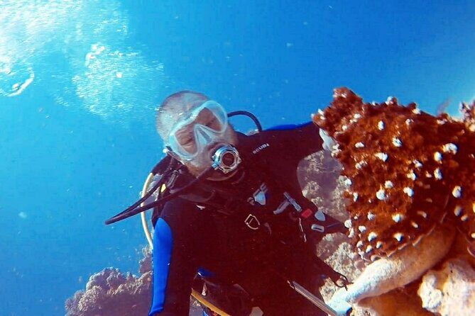 PADI Open Water Diver Course in Hurghada - Learn Scuba Diving - Why This Course Offers Great Value