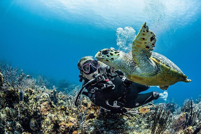 PADI Open Water Diver Course in Playa del Carmen - Authentic Experiences from Past Participants