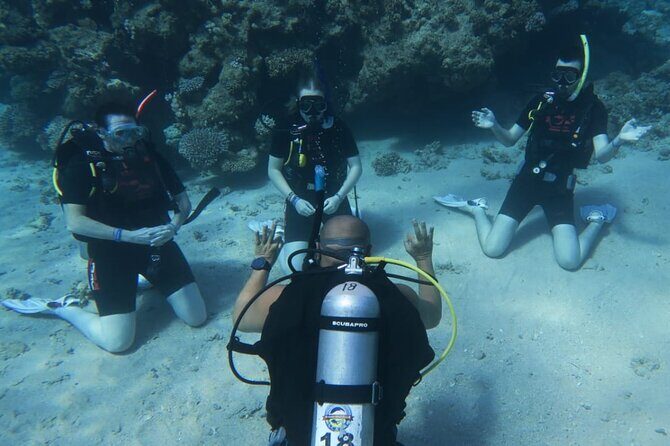 PADI Open Water Diver Course - The Itinerary and What You Can Expect