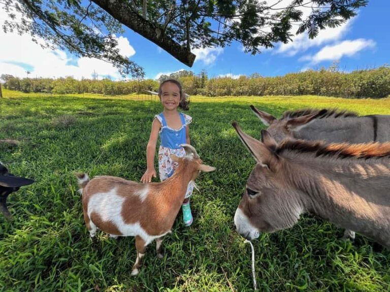 Pahoa: Ranch Tour with Animal Feedings and Interactions - What’s Included in the Tour