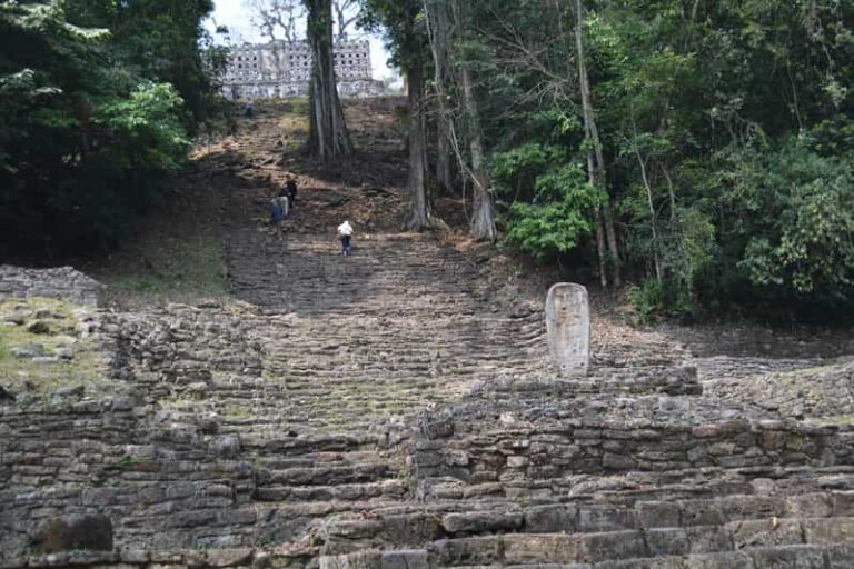Palenque: 2-Day Lacandon Jungle, Yaxchilan, & Bonampak Trip - Final Thoughts