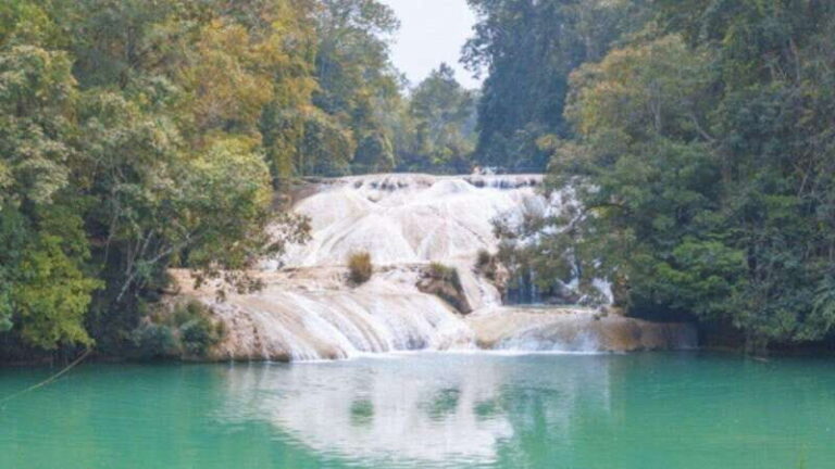 Palenque Archaeological Area and Roberto Barrios Waterfalls - Who Should Consider This Tour?