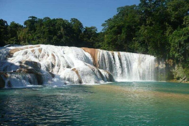 Palenque Archaeological Site with Agua Azul and Misol-Ha - Who Will Love This Tour?