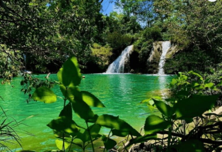 Palenque: Roberto Barrios Waterfall Tour - The Itinerary in Detail