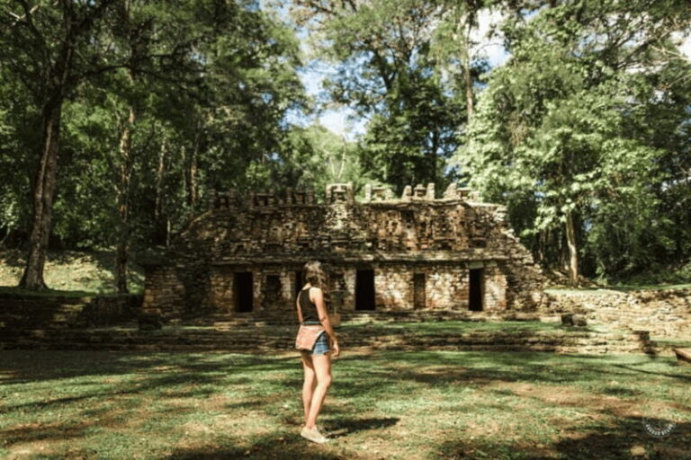 Palenque: Yaxchilán and Bonampak Archaeological Area Tour - Why This Tour Offers Good Value