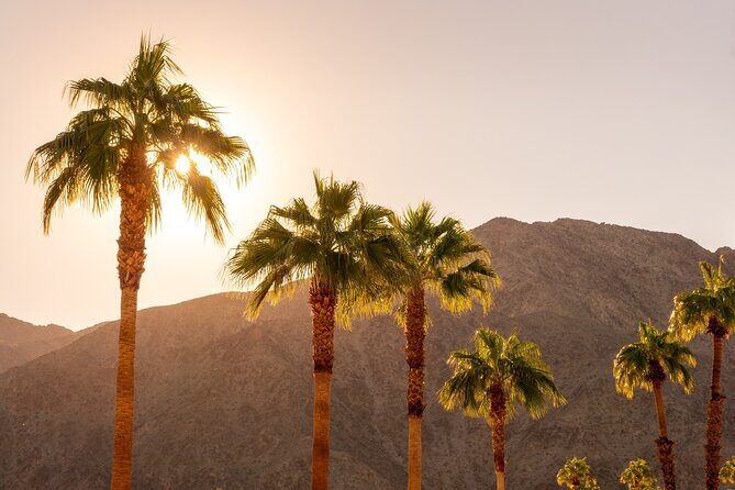 Palm Springs and Joshua Tree Self-Guided Driving Audio Tours - The Value of This Tour