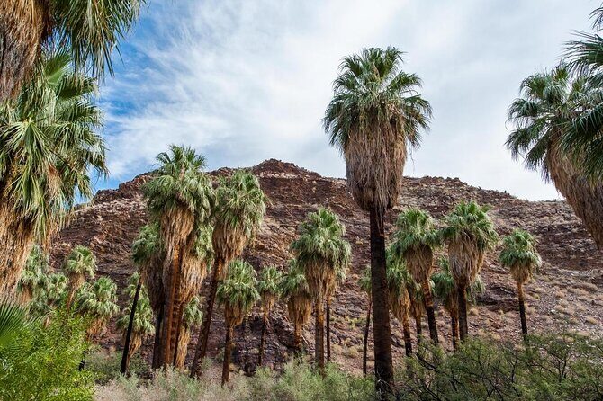 Palm Springs Indian Canyons Bike and Hike