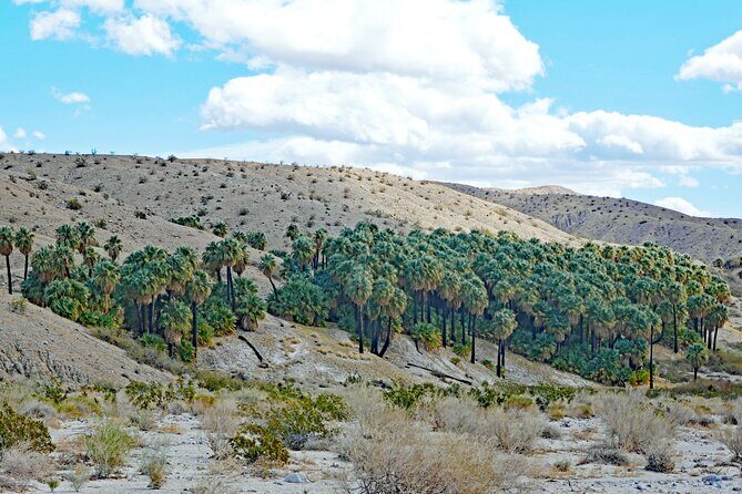 Palm Springs Self-Guided Driving Audio Tour - Final Thoughts: Is It Worth It?