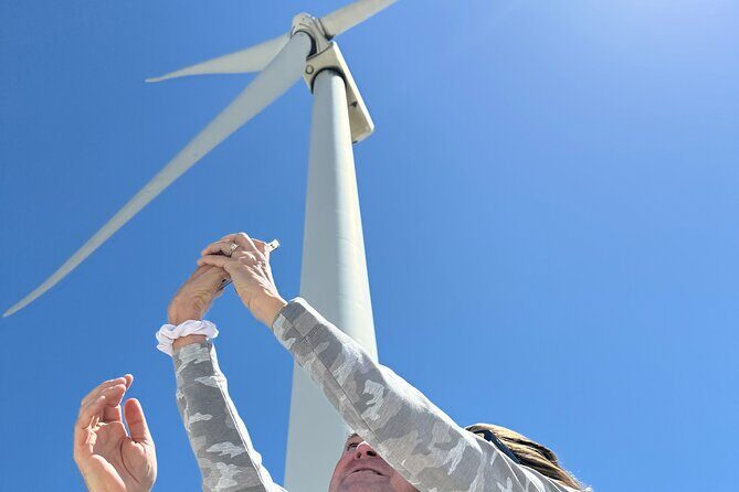 Palm Springs Windmill Guided Tour by Golf Cart - Why This Tour is a Good Value