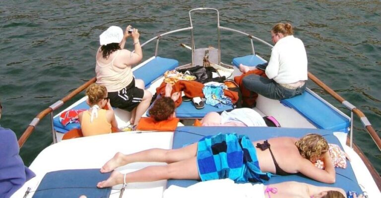 Palomino Islands Yacht Tour and swim alongside the sea lions - Who Will Enjoy This Tour?
