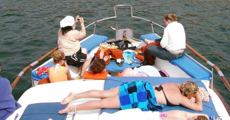 Palomino Islands Yacht Tour and swim alongside the sea lions - Who Will Enjoy This Tour?